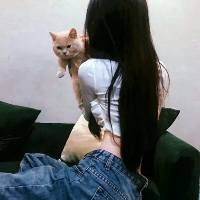 蜗牛的策略